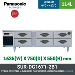 SUR-DG1671-2B1